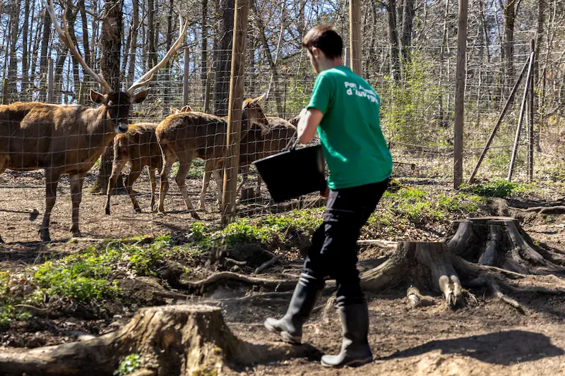 Équipe animalière du Parc